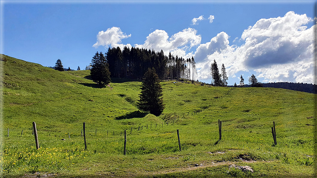 foto Piana del Vezzena